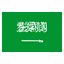 Saudi Riyal